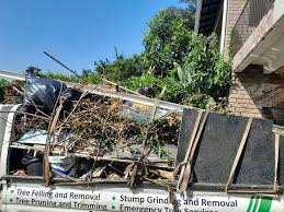 Best Same-Day Junk Removal Services  in Champlin, MN