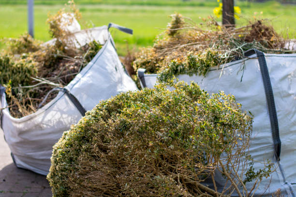 Best Residential Junk Removal  in Champlin, MN